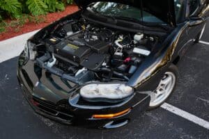 DSC_2512