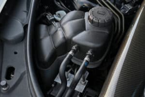 DSC_3597