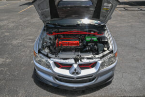 DSC_8003